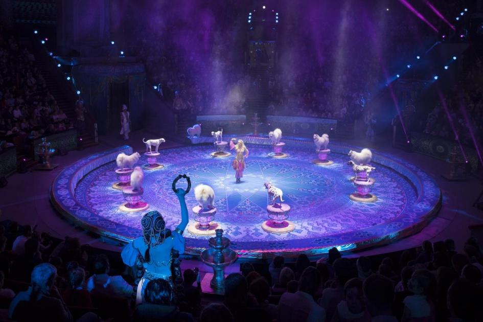 Бегемоты, воздушные гимнасты и необычный клоун: Омск встречает грандиозное шоу Гии Эрадзе