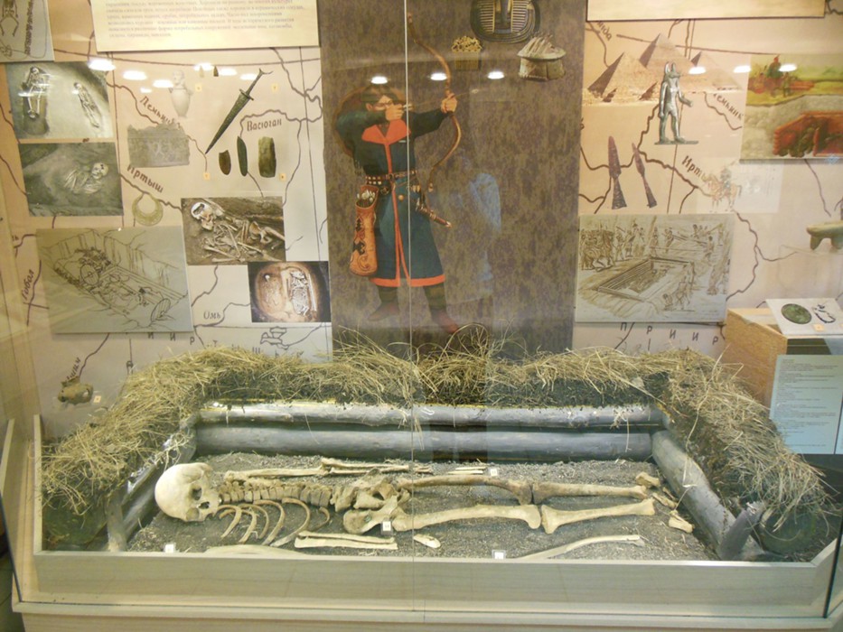 Экспозиция «Археология Омского Прииртышья»