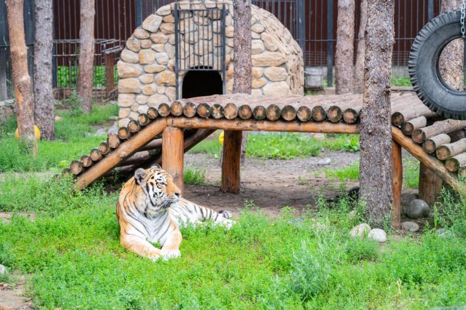 Юлия Сырецкая: «Постараемся сделать так, чтобы Большереченский зоопарк попал в десятку лучших в России»