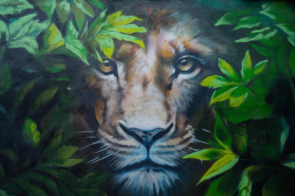 Новые площадки и пополнение в семействах