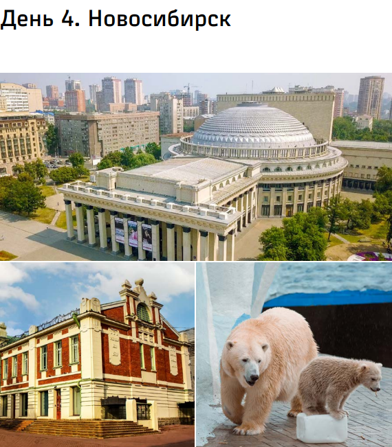 33.png