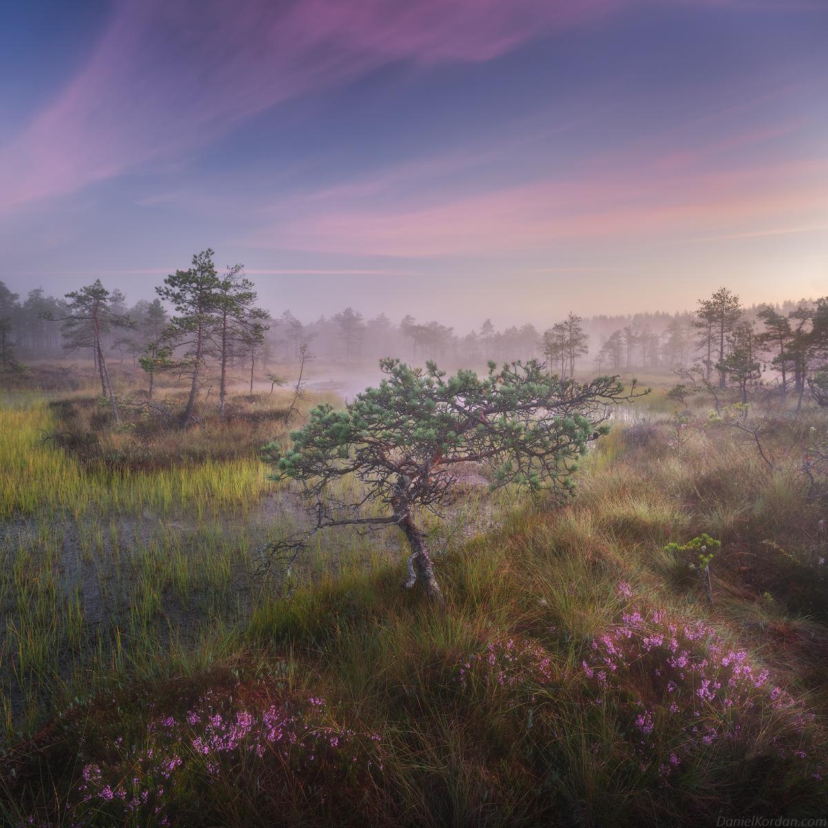 dsc_8084-hdr-panorama2jj.jpg