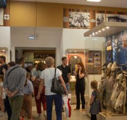 Музеи Омской области посетили более 1,4 миллиона человек